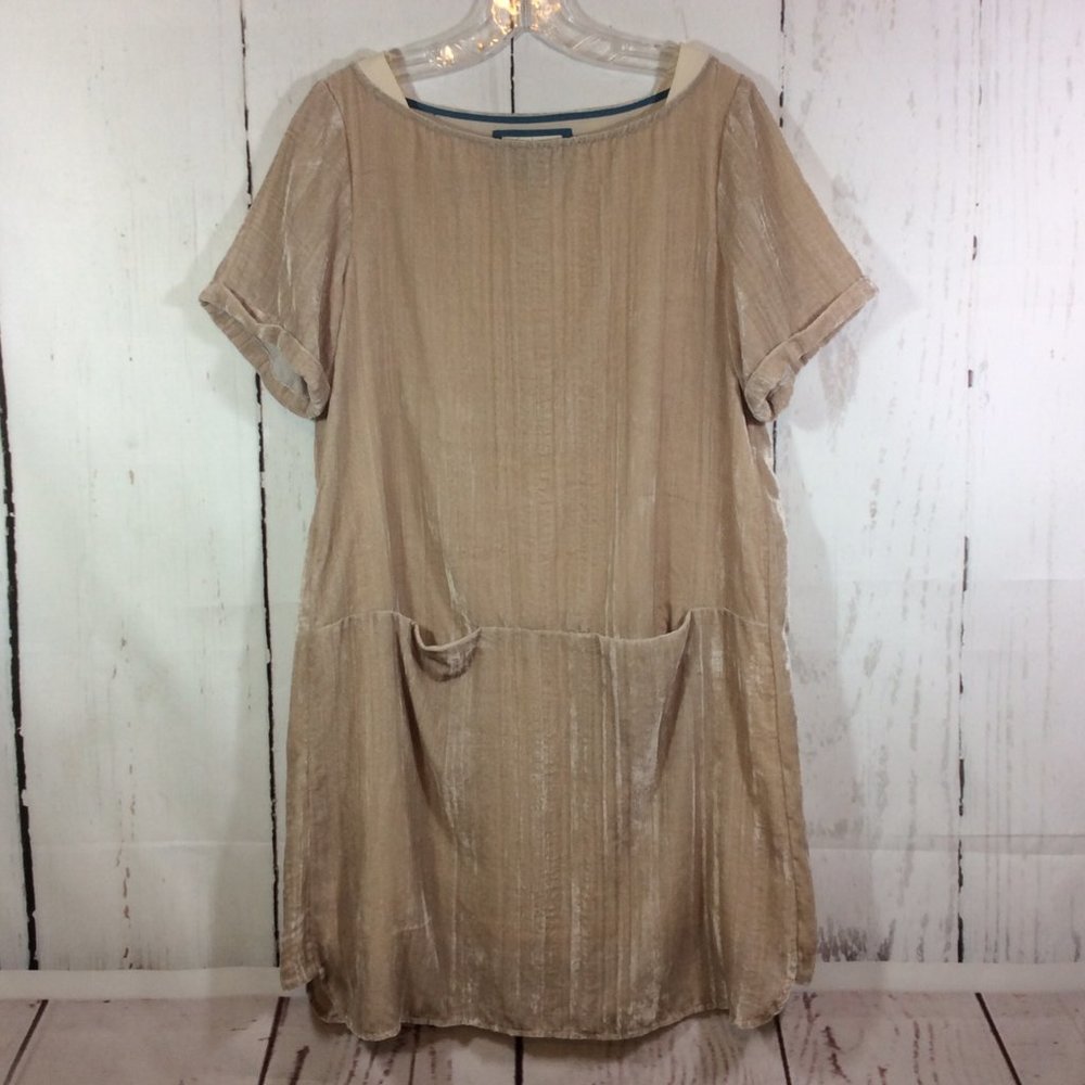 Anthropologie Floreat Crushed Champagne Velvet Shift Mini Dress Pockets Size S - Picture 2 of 16